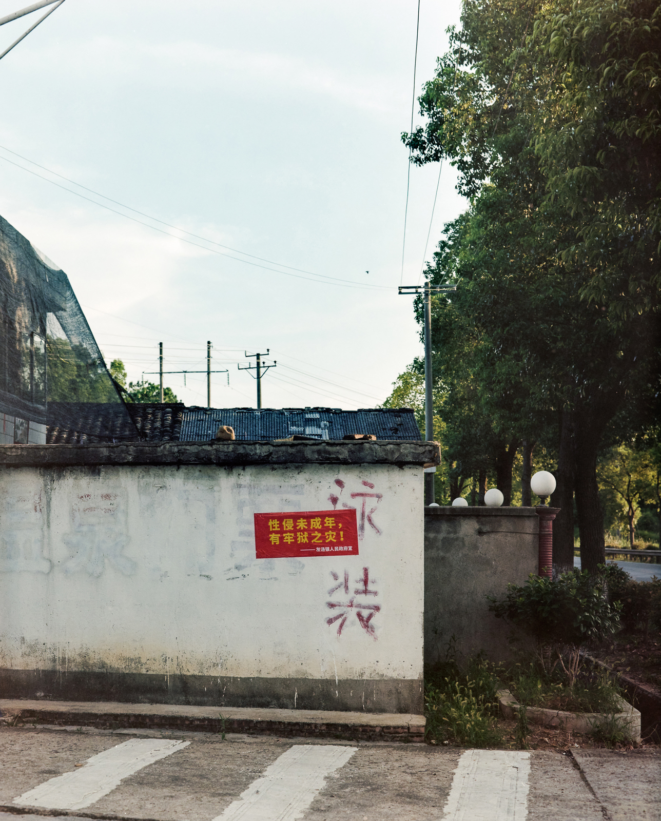 忽视的景观 image 16